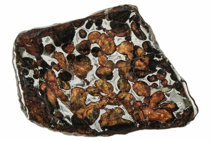 Sericho Pallasite Meteorite ( g) Slice - Kenya #346477